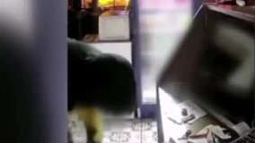 ادای احترام یک دزد به پرچم ترکیه در هنگام دزدی