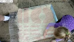نکات مهم برای نگهداری از کولر