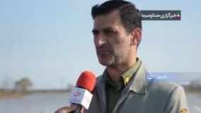 ماجرای سربریدن ۴۰۰ قو در سرخرود مازندران