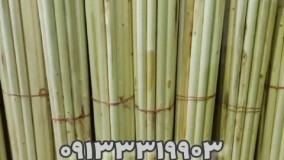 تولید کننده دسته بیل و کلنگ