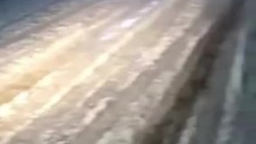 تگرگ در بوشهر مزرعه گوجه را صاف کرد !