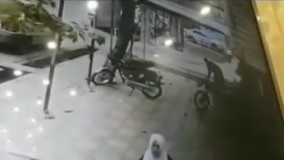 لاشه گرگ مهاجم در کرمانشاه پیدا شد