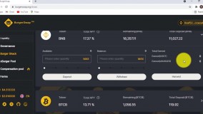 معرفی آپشن های مختلف صرافی برگر سواپ