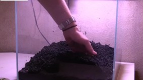 راه اندازی آکواریوم آب شور