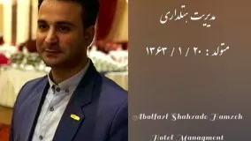 معرفی و رزومه کاری ابوالفضل شاهزاده حمزه