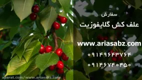 مرگ سریع علف های هرز با علف کش گلایفوزیت