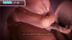 هفته سی و نهم بارداری