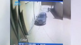 سگی که دزدها را غافلگیر کرد و مانع سرقت شد