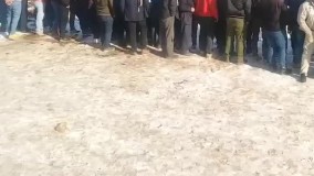 تماشای سگ‌کشی وسط بیداد کرونا