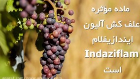 آلیون علف کش پیش رویشی فوق العاده مؤثر | Alion