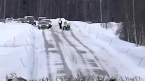 رعایت حقوق گوزن های شمالی در نروژ