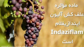 علف کش آلیون | Alion