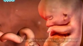 هفته دوازدهم بارداری