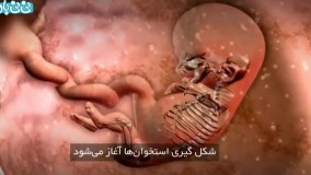 هفته نهم بارداری