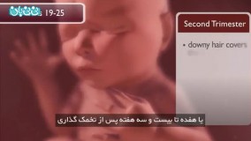 هفته بیست و دوم بارداری