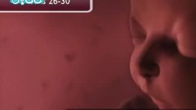 هفته بیست و هشتم بارداری