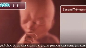 هفته پانزدهم بارداری