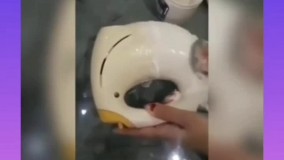 وسایل برقی خونت رو دوباره نوکن