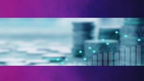 پیکرشناسی مدیریت دارایی1