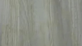 بهترین چربی زدا