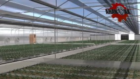 ساخت گلخانه با لوله گالوانیزه گلخانه ای ارزان قیمت زیر قیمت بازار ایران