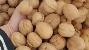 فروش عمده گردو ارسال به سراسر ایران