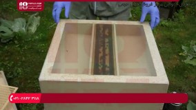 آموزش جا به جا کردن طبقات کندو زنبور عسل