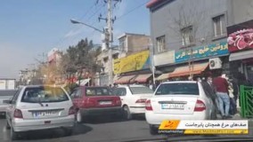 صف‌ های مرغ همچنان پابرجاست