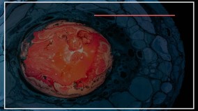 نحوه استفاده از قالب های مختلف برای شکل دهی به رزین