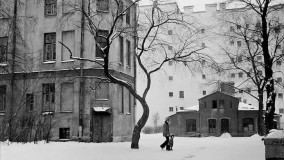 ماشا ایواشنتسوا ؛ رازهای یک زن در زیرزمین