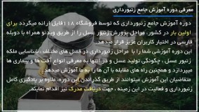 آموزش حرفه ای زنبور داری - ملکه ی جدید کندو