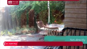 تربیت طوطی - چگونه پرنده را در غیاب خود سرگرم کنیم1