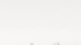 لوگوی شرکت نشانه ساز