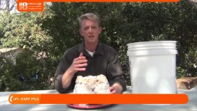 پرورش قارچ- نکاتی برای پرورش قارچ شیتاکه