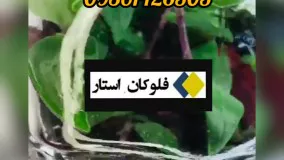 کروم حرارتی،کروم پلاسما،کروم شعله ای09190924535