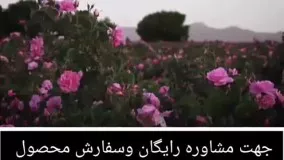 بهترین راه درمان ریزش مو کشف شد