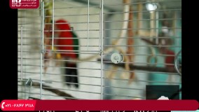 آموزش  عکاسی - تکنیک های فوکوس پارت3