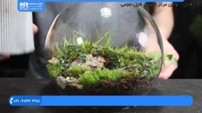 آموزش ساخت تراریوم - تراریوم بدون ورودی