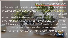 تراریوم - ساخت تراریوم کشتی در بطری