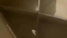 فیلم ماجرای ورود واکسن فایزر به کشور