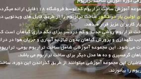 تراریوم - آموزش ساخت تراریوم فانتزی