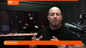 آکواریوم گیاهی - مشکلات رایج آکواریوم