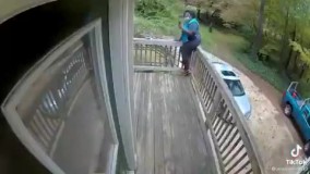 کلیپی خنده‌دار و پربازدید از یک پیک و یک سگ