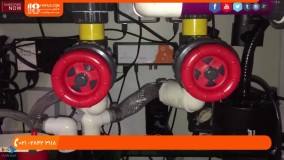 آکواریوم گیاهی - راه اندازی آکواریوم آب شور