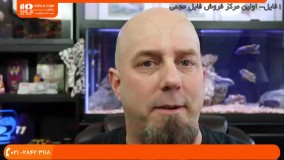 آموزش آکواریوم گیاهی - جلوگیری از دعوای ماهی ها در آکواریوم