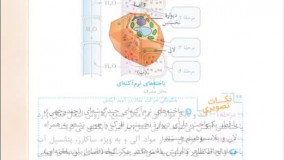 کتاب جی بی زیست گیاهی خیلی سبز