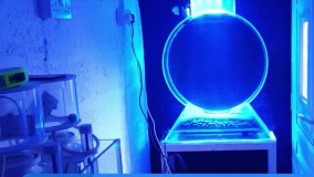 آموزش آکواریوم گیاهی - اتاق پرورش و نگهداری مرجان - پارت 5