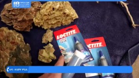 آموزش آکواریوم گیاهی - کاشت گیاهان آکواریومی و تزئین داخلی اکواریوم