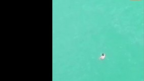 شیرجه مرگبار پسر جوان به رودخانه کارون