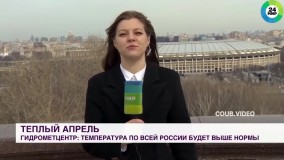 مزاحمت سگ در یک برنامه زنده تلویزیونی روسیه